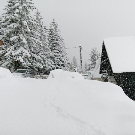 Durmitor Διαμέρισμα Žabljak Εξωτερικό φωτογραφία