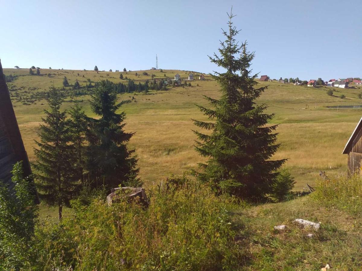 Durmitor Διαμέρισμα Žabljak Εξωτερικό φωτογραφία