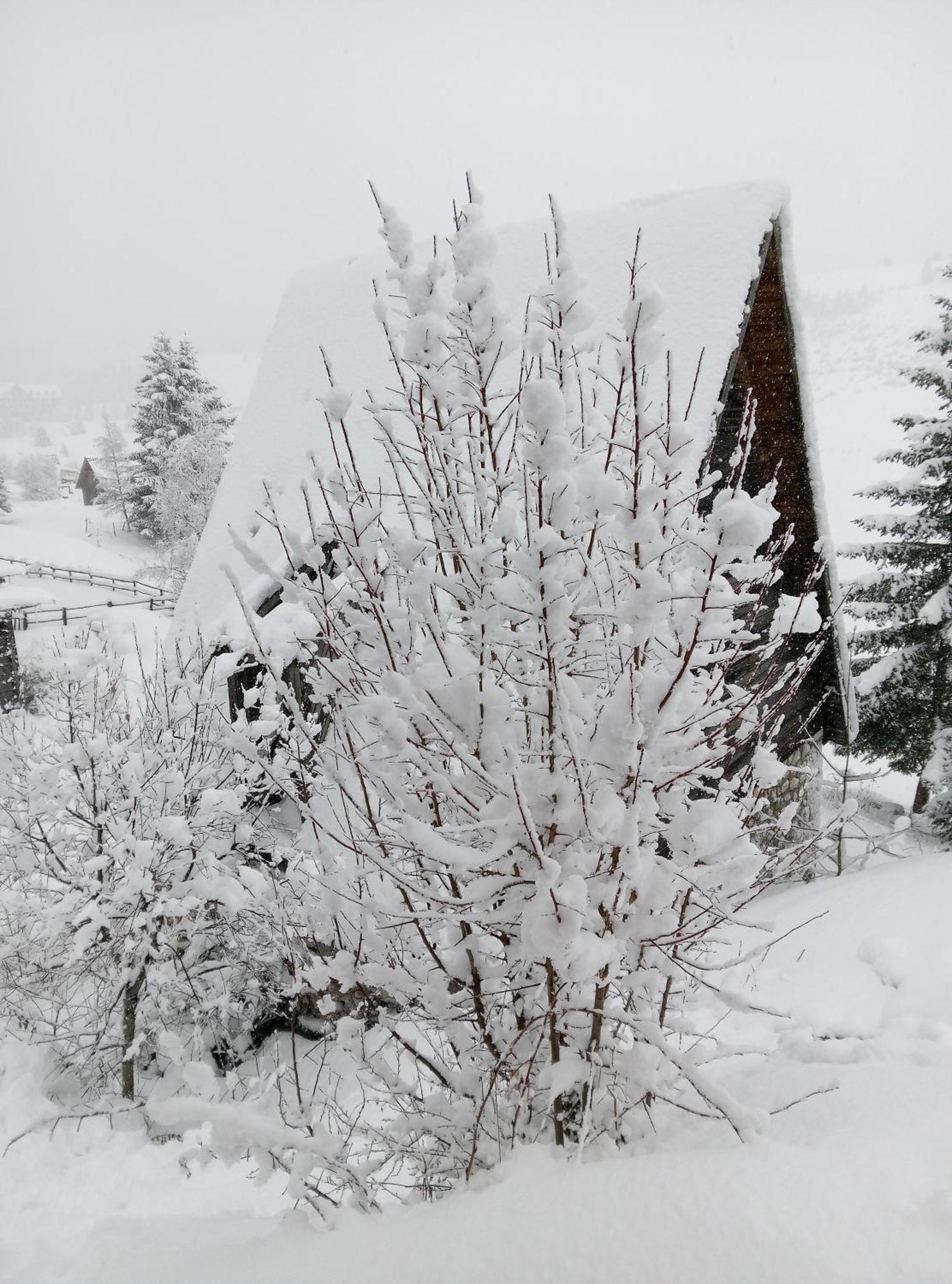 Durmitor Διαμέρισμα Žabljak Εξωτερικό φωτογραφία