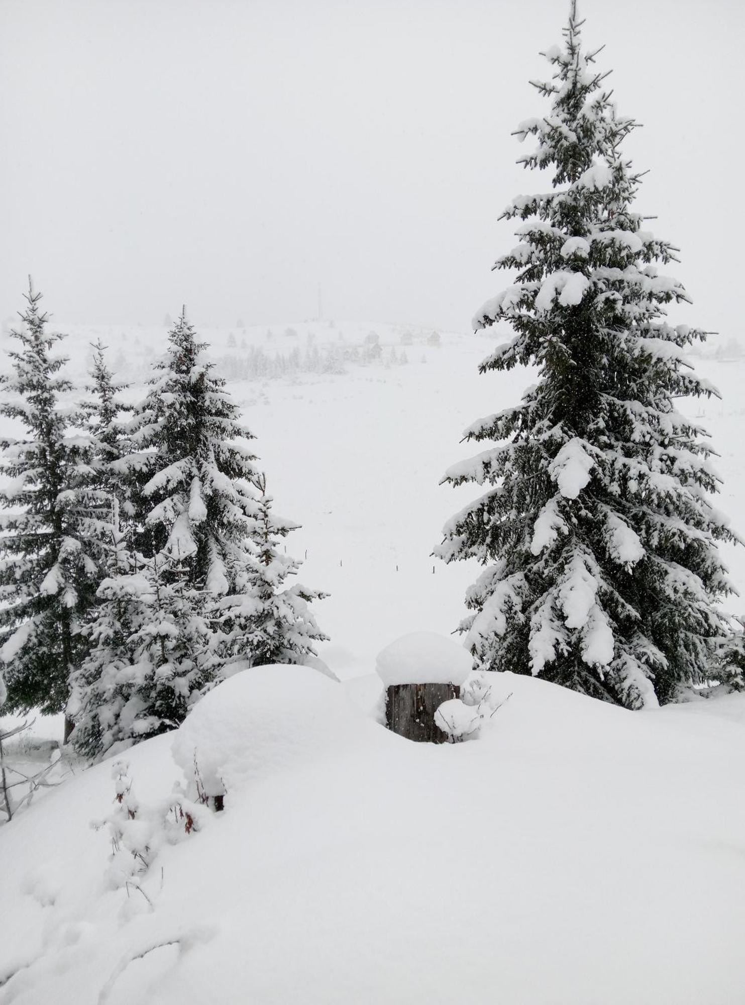 Durmitor Διαμέρισμα Žabljak Εξωτερικό φωτογραφία