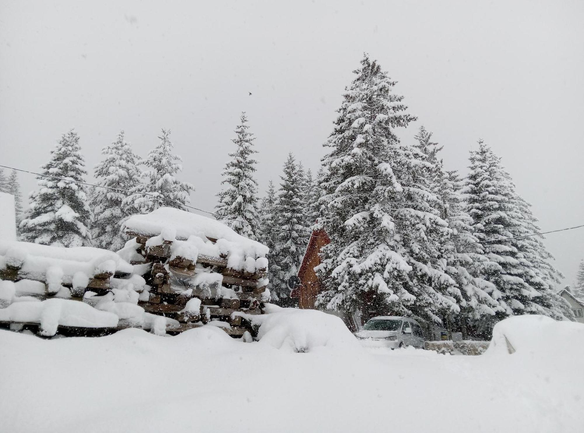 Durmitor Διαμέρισμα Žabljak Εξωτερικό φωτογραφία