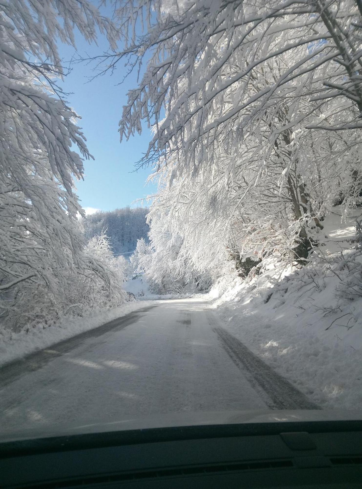 Durmitor Διαμέρισμα Žabljak Εξωτερικό φωτογραφία