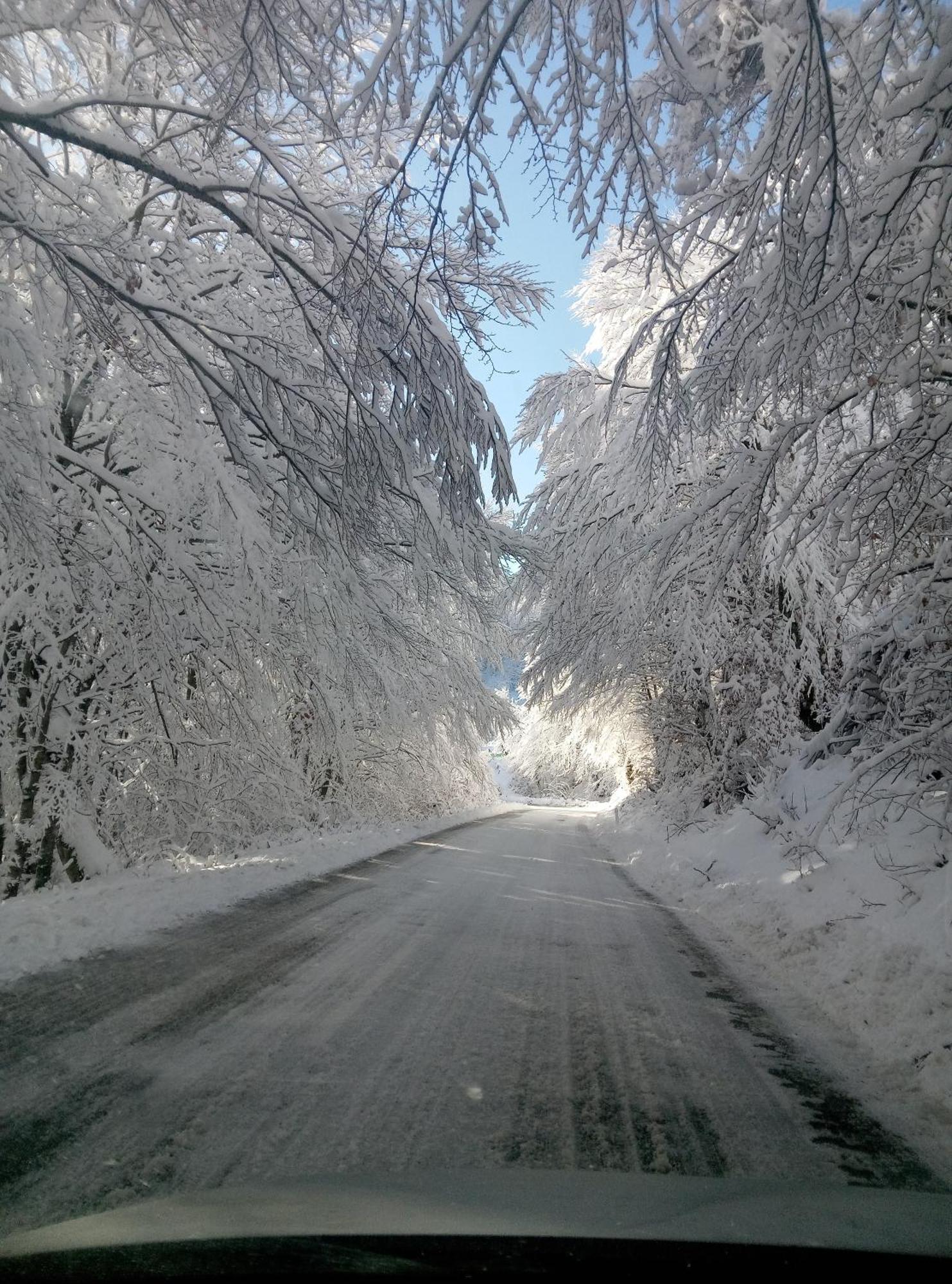 Durmitor Διαμέρισμα Žabljak Εξωτερικό φωτογραφία